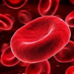 Anemia is biggest cause of disability in India.